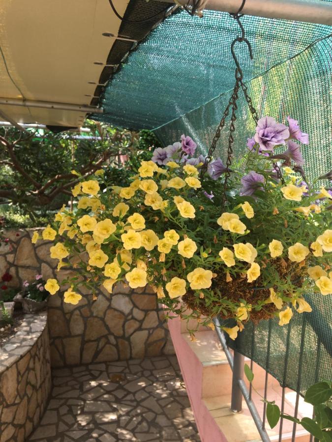 ריסיקה Apartmani Anica מראה חיצוני תמונה