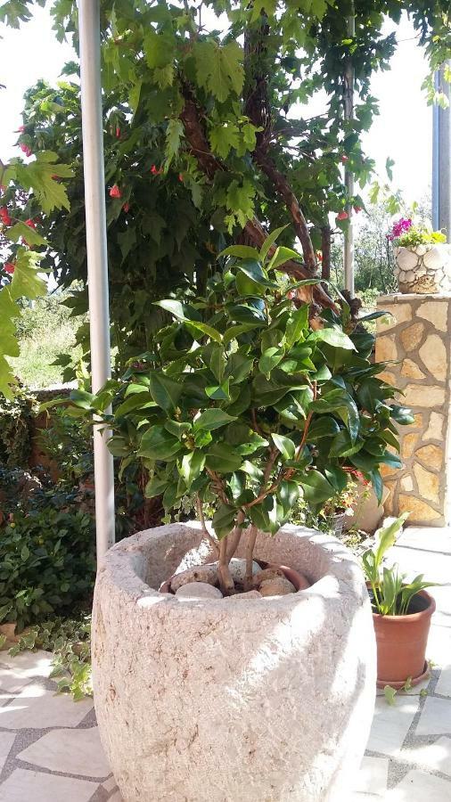 ריסיקה Apartmani Anica מראה חיצוני תמונה